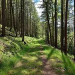 Lejlighed Panoramablick Piesau
