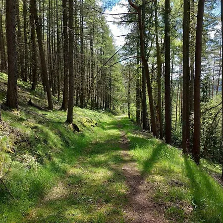 Appartamento Panoramablick Piesau