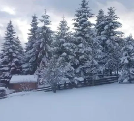 Appartement Panoramablick