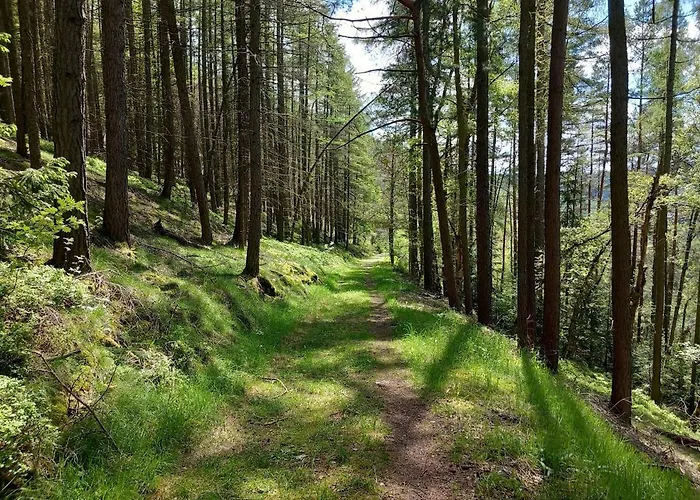 Appartement Panoramablick Piesau